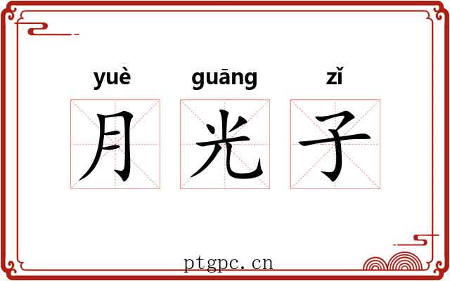 月光子
