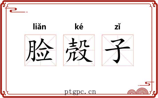脸殻子 脸殻子