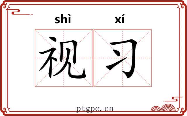 视习