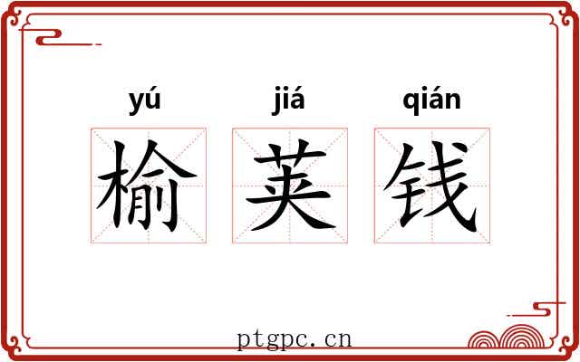 榆荚钱 榆荚钱