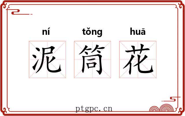 泥筒花