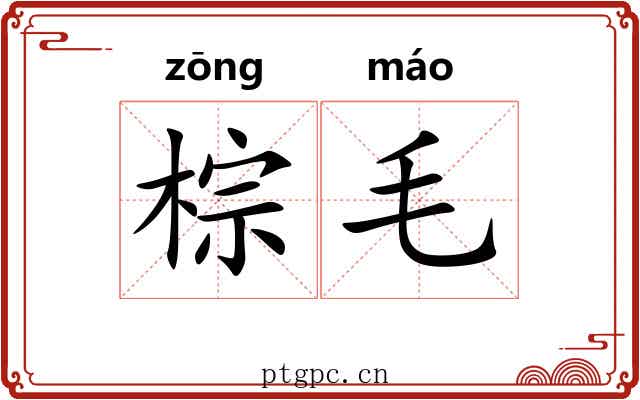 棕毛