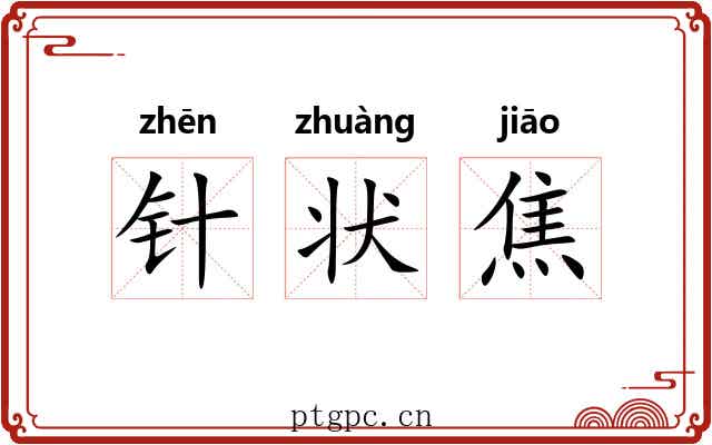 针状焦