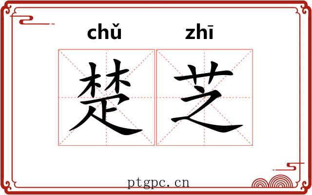 楚芝