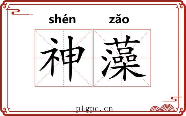 神藻 神藻