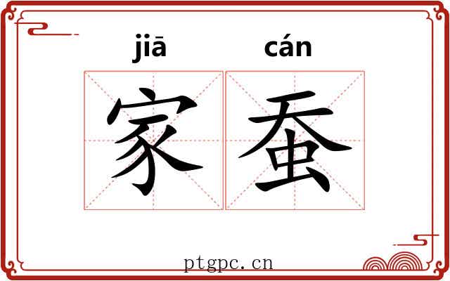 家蚕