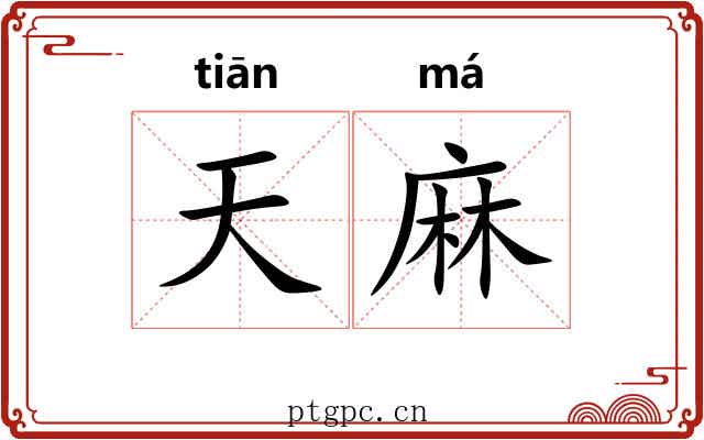 天麻 天麻
