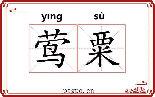 莺粟