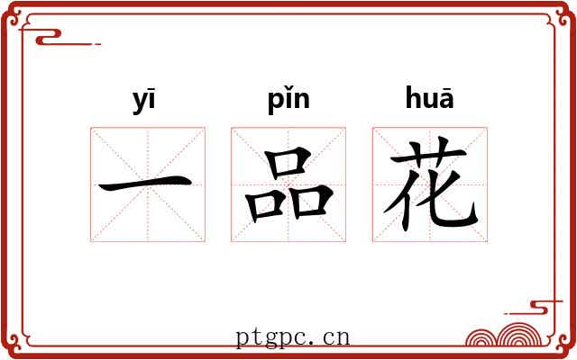 一品花