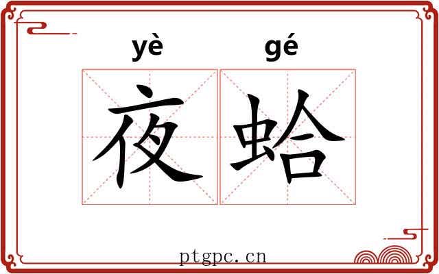 夜蛤