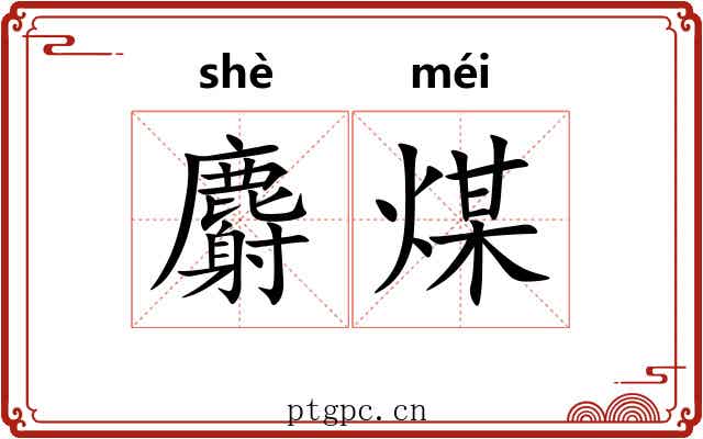 麝煤