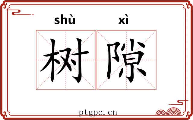 树隙