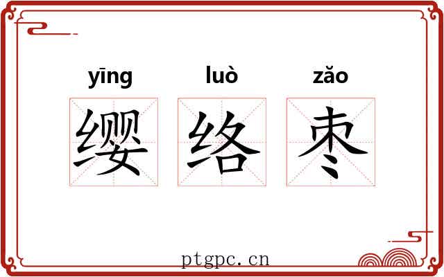 缨络枣