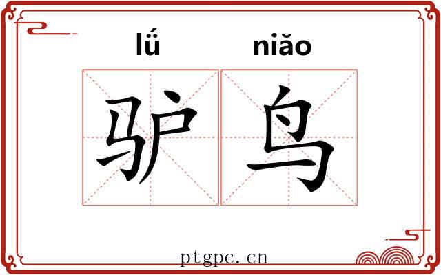 驴鸟