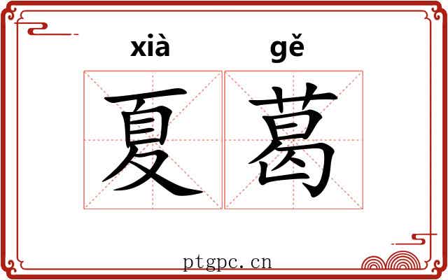 夏葛