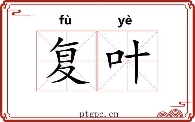 复叶
