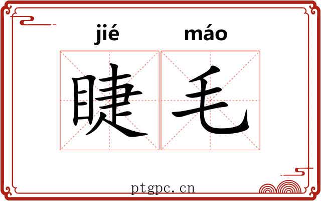 睫毛 睫毛