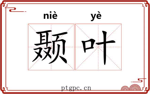 颞叶