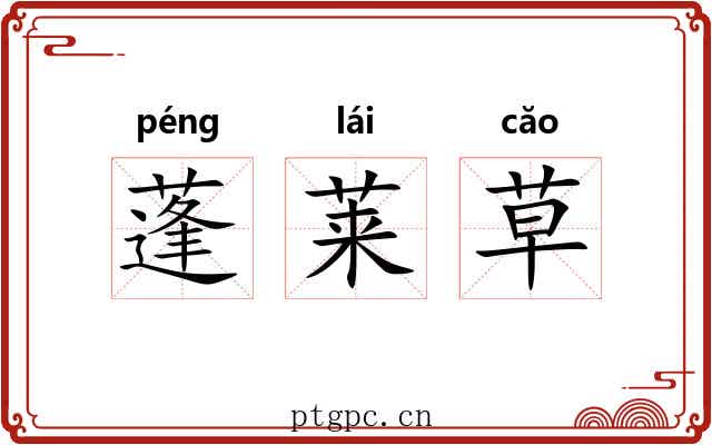 蓬莱草 蓬莱草