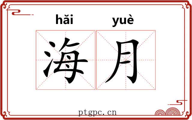 海月 海月