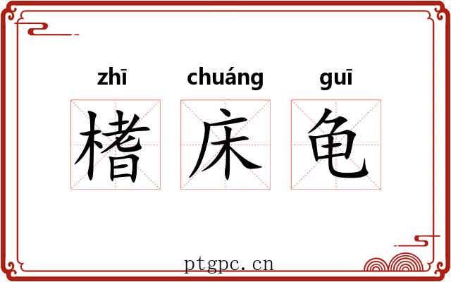 榰床龟 榰床龟