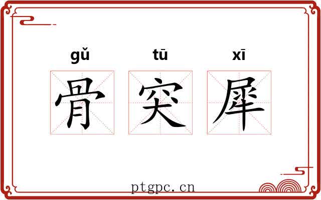 骨突犀 骨突犀