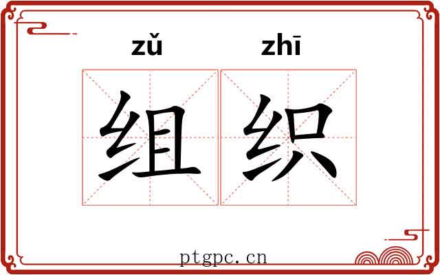 组织