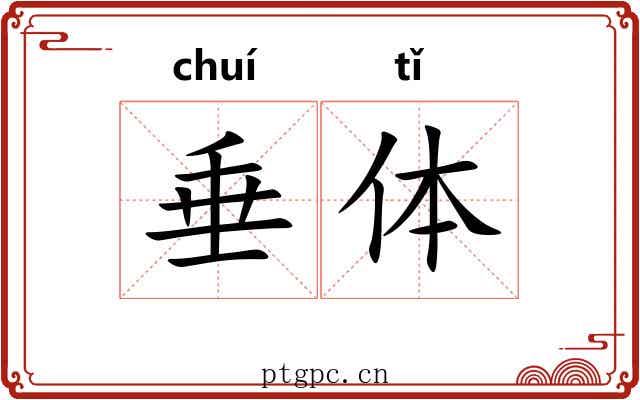 垂体