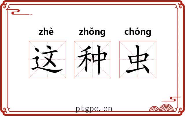 这种虫 这种虫