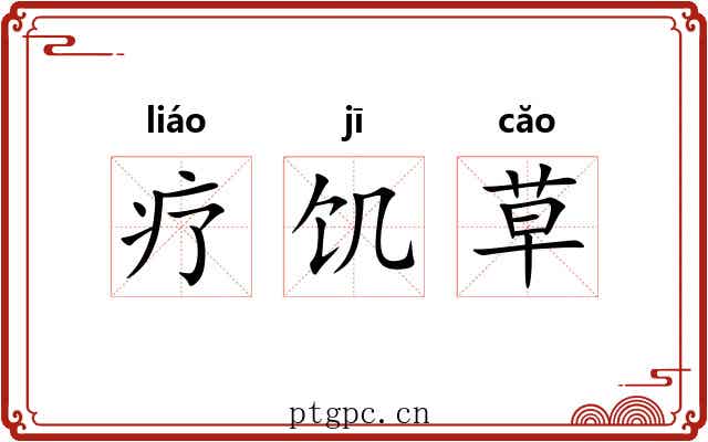疗饥草
