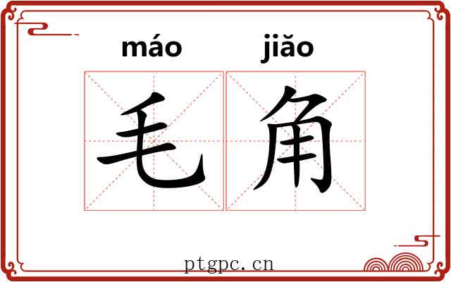 毛角 毛角