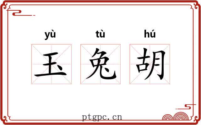 玉兔胡