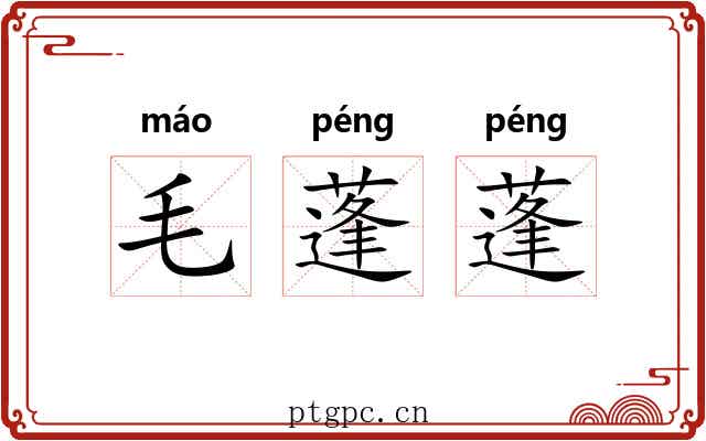 毛蓬蓬 毛蓬蓬