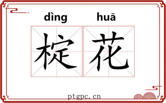 椗花 椗花