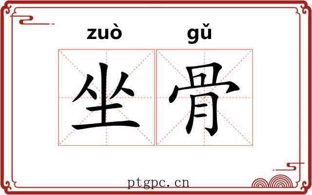 坐骨 坐骨