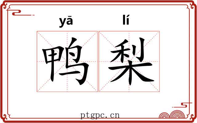 鸭梨