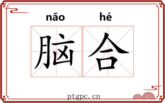 脑合
