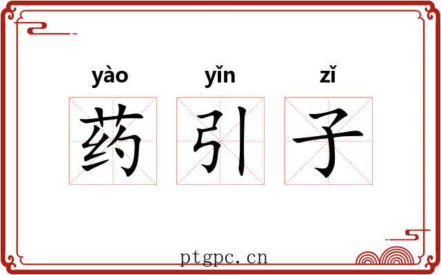 药引子 药引子