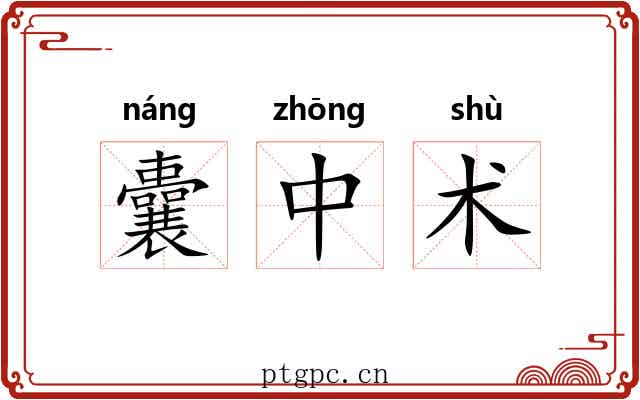 囊中术