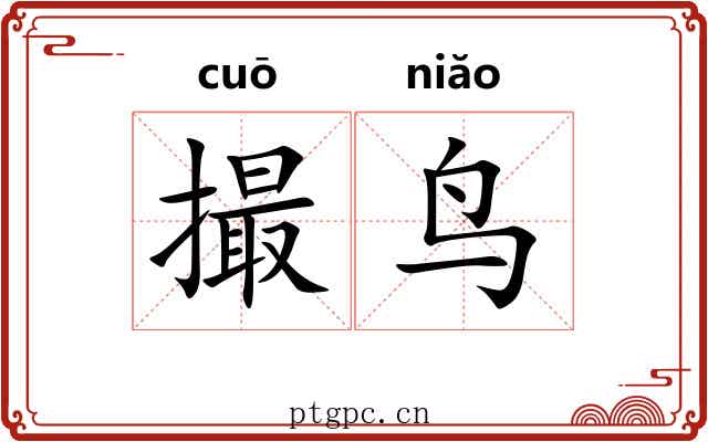 撮鸟