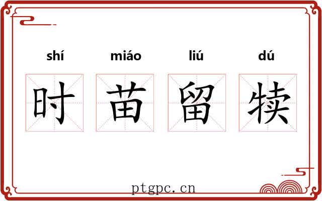 时苗留犊 时苗留犊