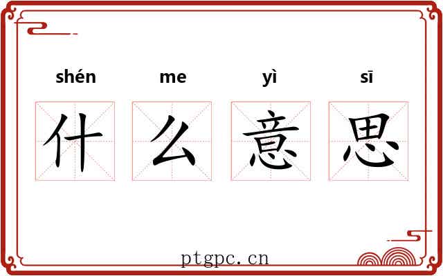 什么意思