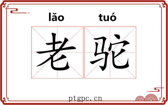 老驼 老驼
