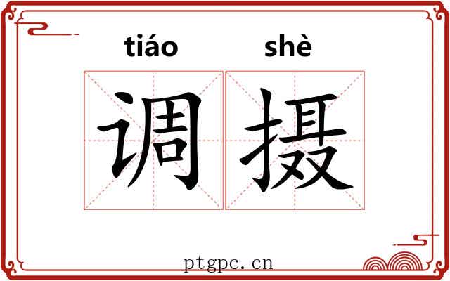 调摄 调摄
