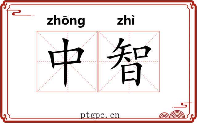 中智
