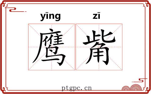 鹰觜