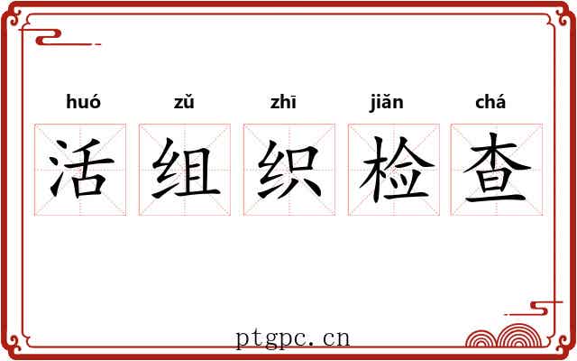 活组织检查 活组织检查