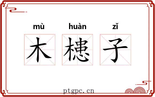 木槵子 木槵子