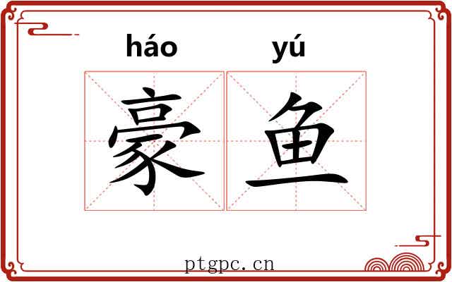 豪鱼