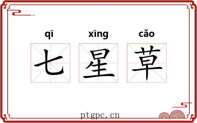 七星草